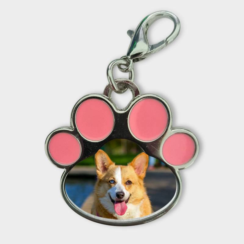 Személyre szabott medál állatoknak - Kisállat