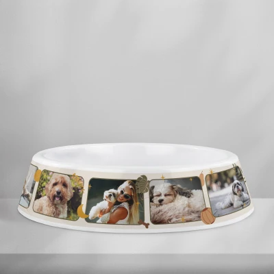 Személyre szabott műanyag kutyatál – Fotókollázs