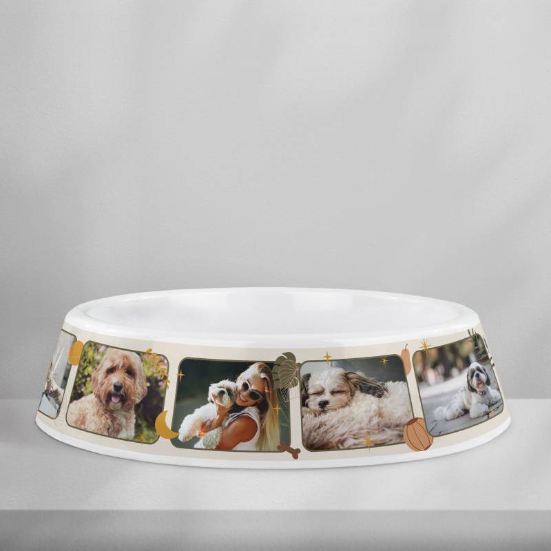 Személyre szabott műanyag kutyatál – Fotókollázs