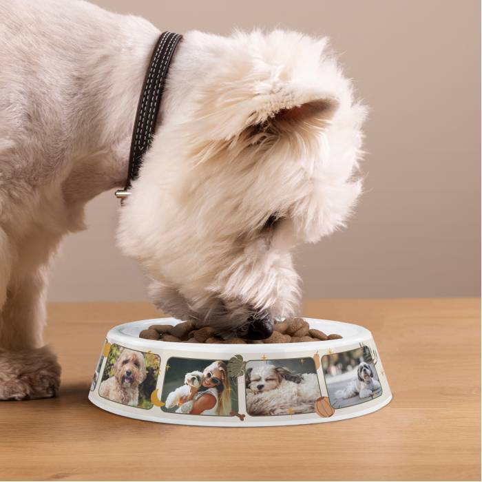 Személyre szabott műanyag kutyatál – Fotókollázs