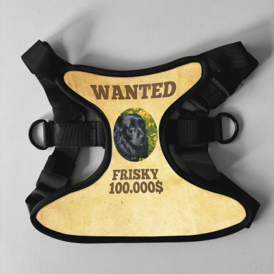Személyre szabott kutyahám - Wanted