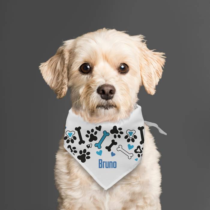 Kutyabandana - Csontok