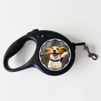 Póráz kutyának – Minden, amire szükséged van