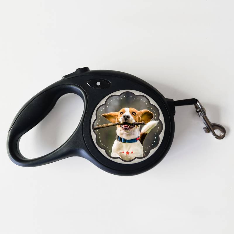 Póráz kutyának – Minden, amire szükséged van