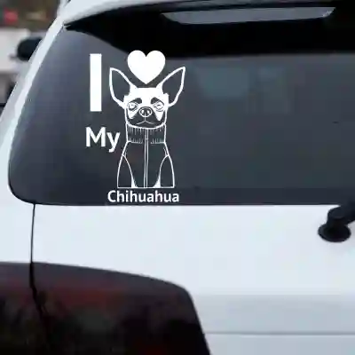 Autós matricák Chihuahua Love