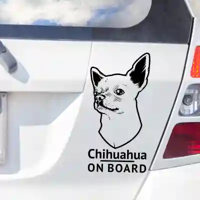 Autós matricák Chihuahua komoly