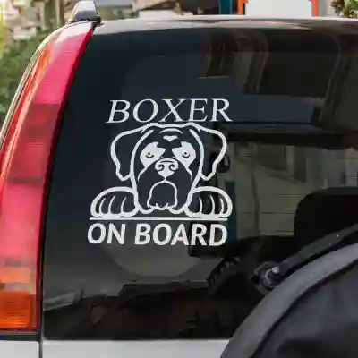 Autós matricák Boxer