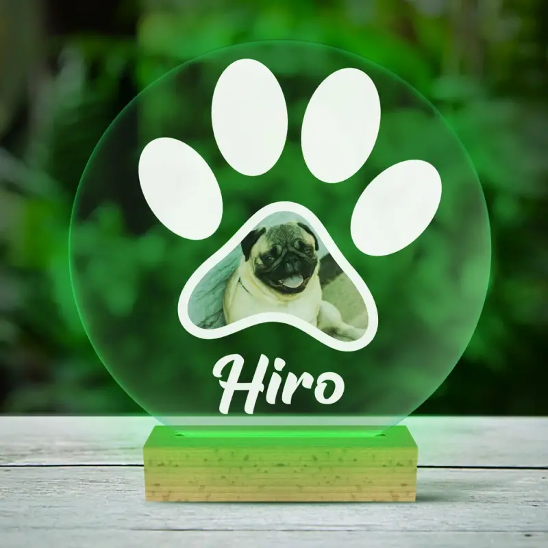 Személyre szabott 3D LED lámpa a háziállatoddal