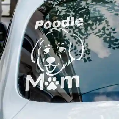 Autós matricák Poodle Mom