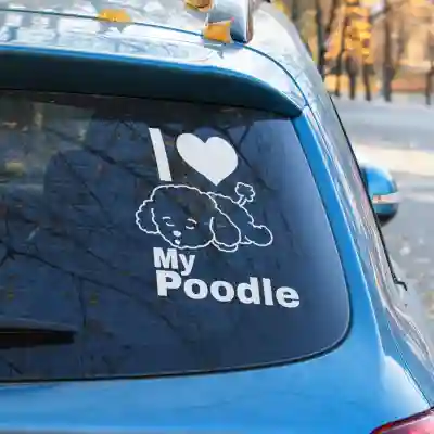 Autós matricák Love Poodle 